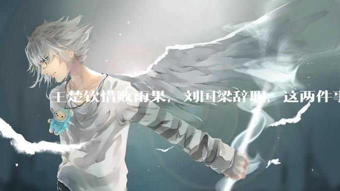 王楚钦惜败雨果，刘国梁辞职，这两件事有必然联系吗？
